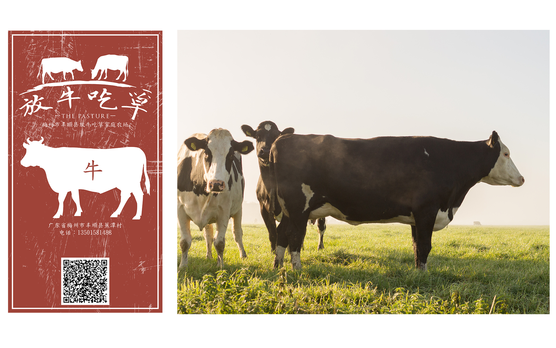 2017_01_03__The-Pasture---Corporate-Identity-3