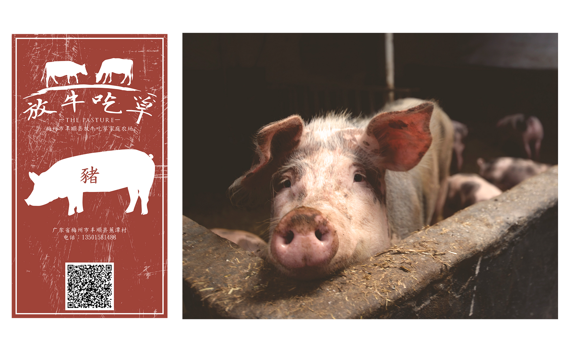 2017_01_03__The-Pasture---Corporate-Identity-4