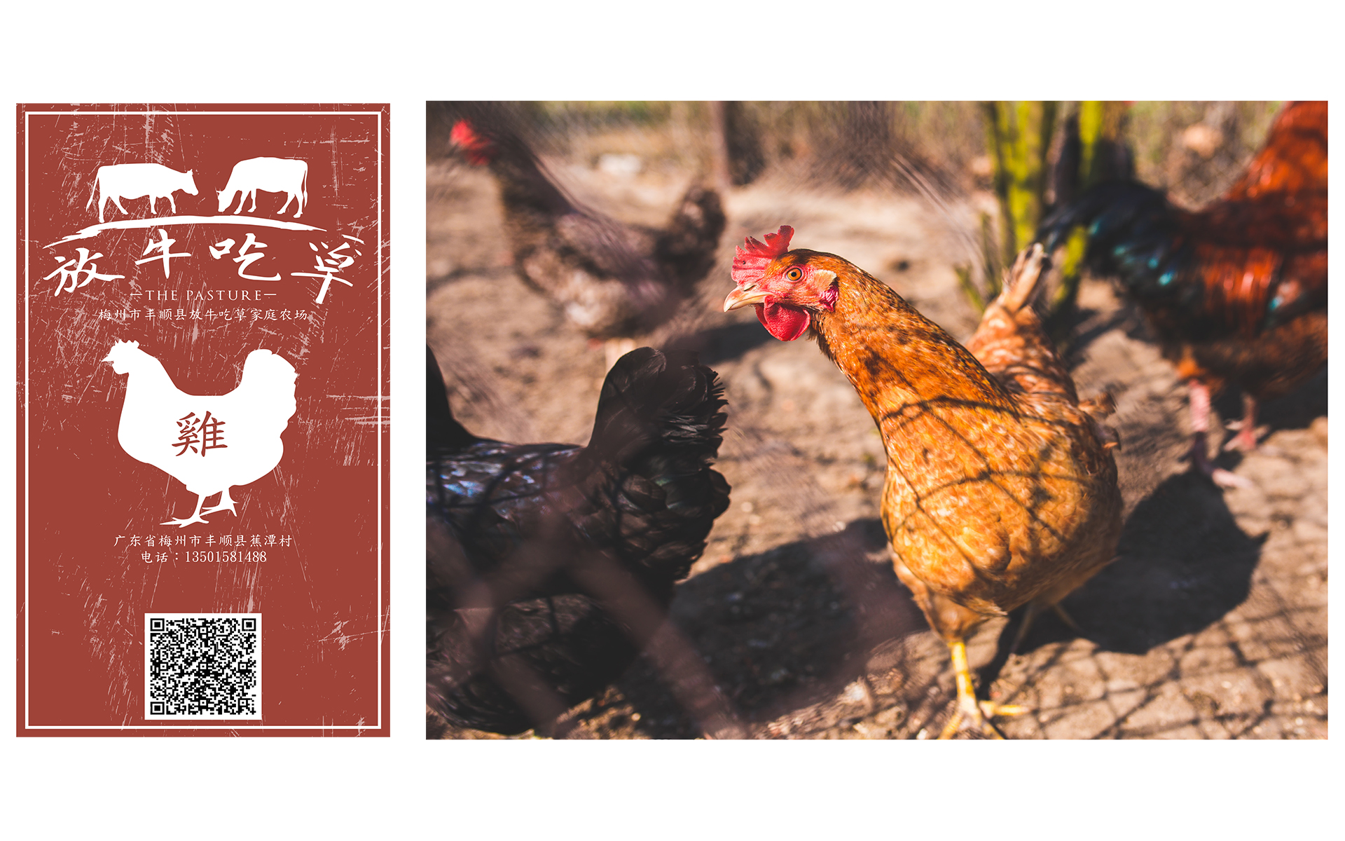 2017_01_03__The-Pasture---Corporate-Identity-5