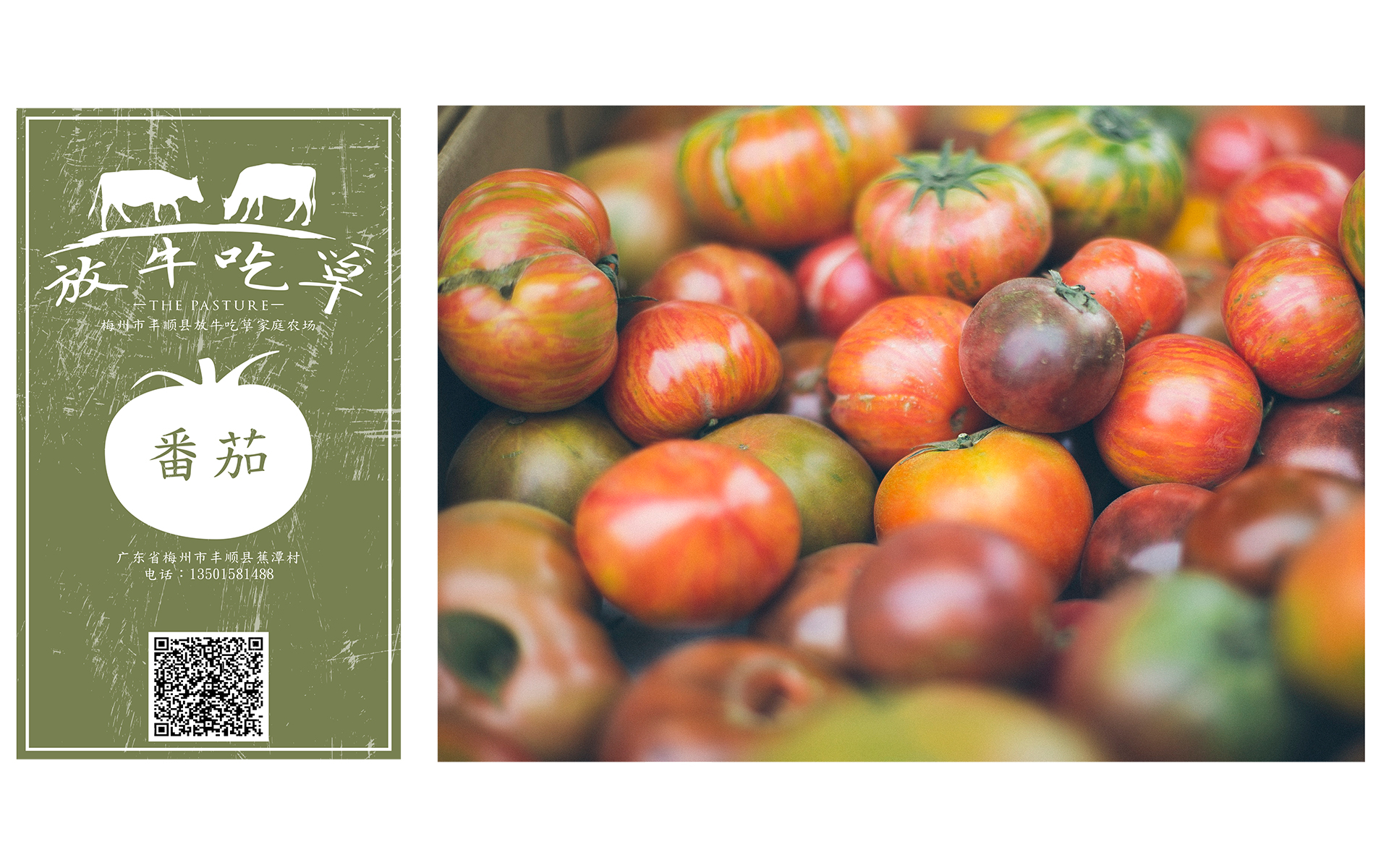 2017_01_03__The-Pasture---Corporate-Identity-6